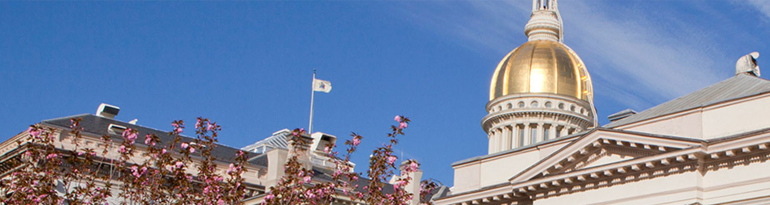 Photo of NJ Capitol Dome