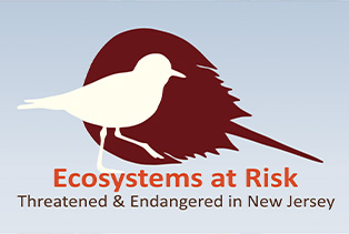 Ecosystems