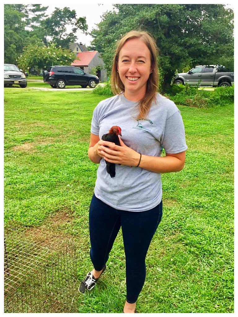 2nd year Apprentice, Heather Lucadema on Goshen Farm, holds one of J.P. Hand's favorite resident chickens 