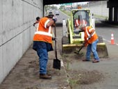 workers photo