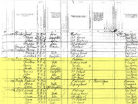 A yellow marked page from the 1880 Federal Census