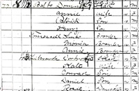 A detail from the 1900 Federal Census 