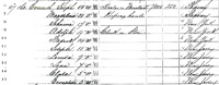 The 1870 Census verifies that Joseph and Magdelina Gavenesch and their eight children were Larch Avenue residents.