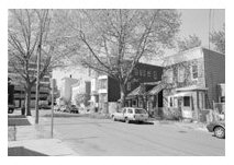 A small neighborhood shadowed by the Pulaski Skyway