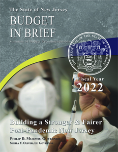2022 budget in brief
