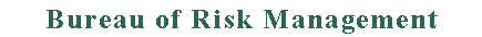 Bureau of Risk Management