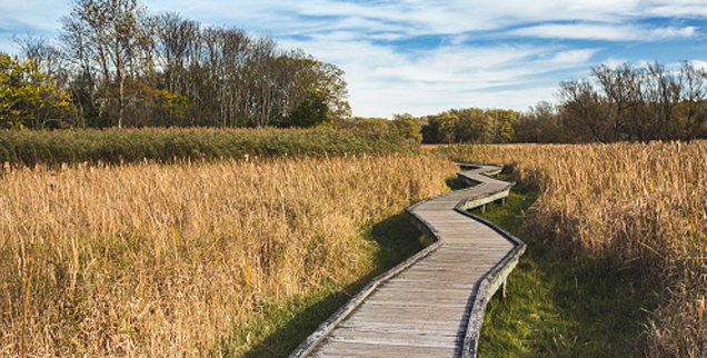 Stay NJ Property Tax Credit Program