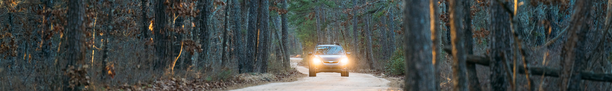 Car driving on sand road: Wharton State Forest Visiting Vehicle Use Map