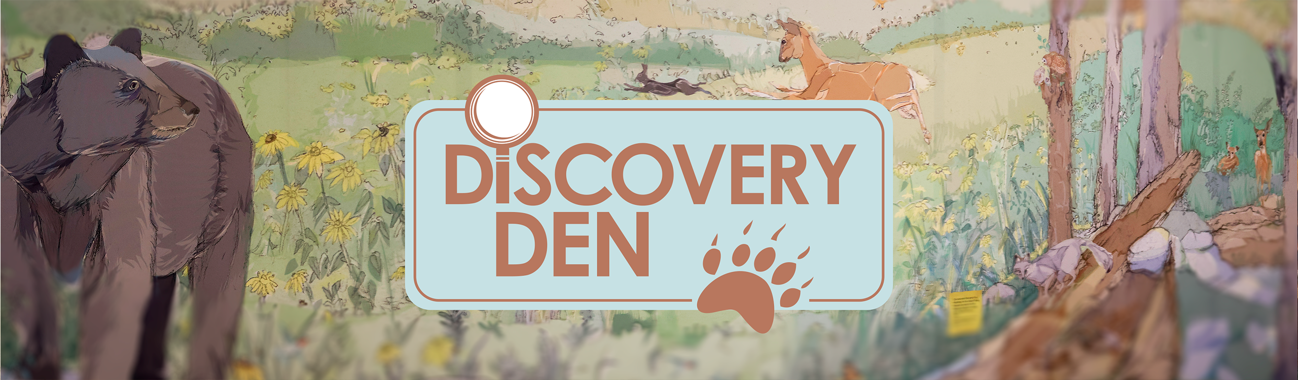 Discovery Den