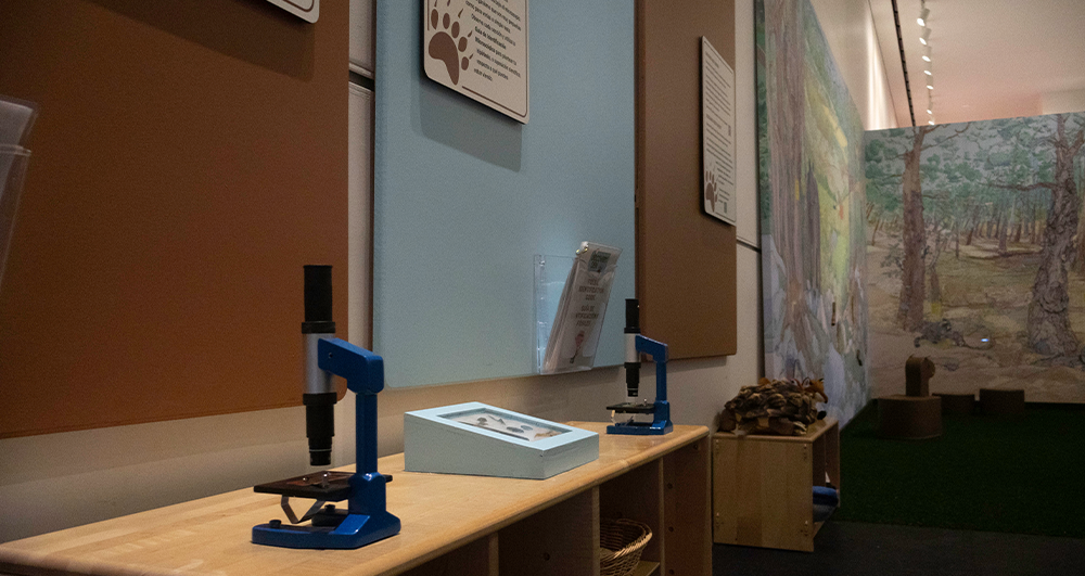 observation station